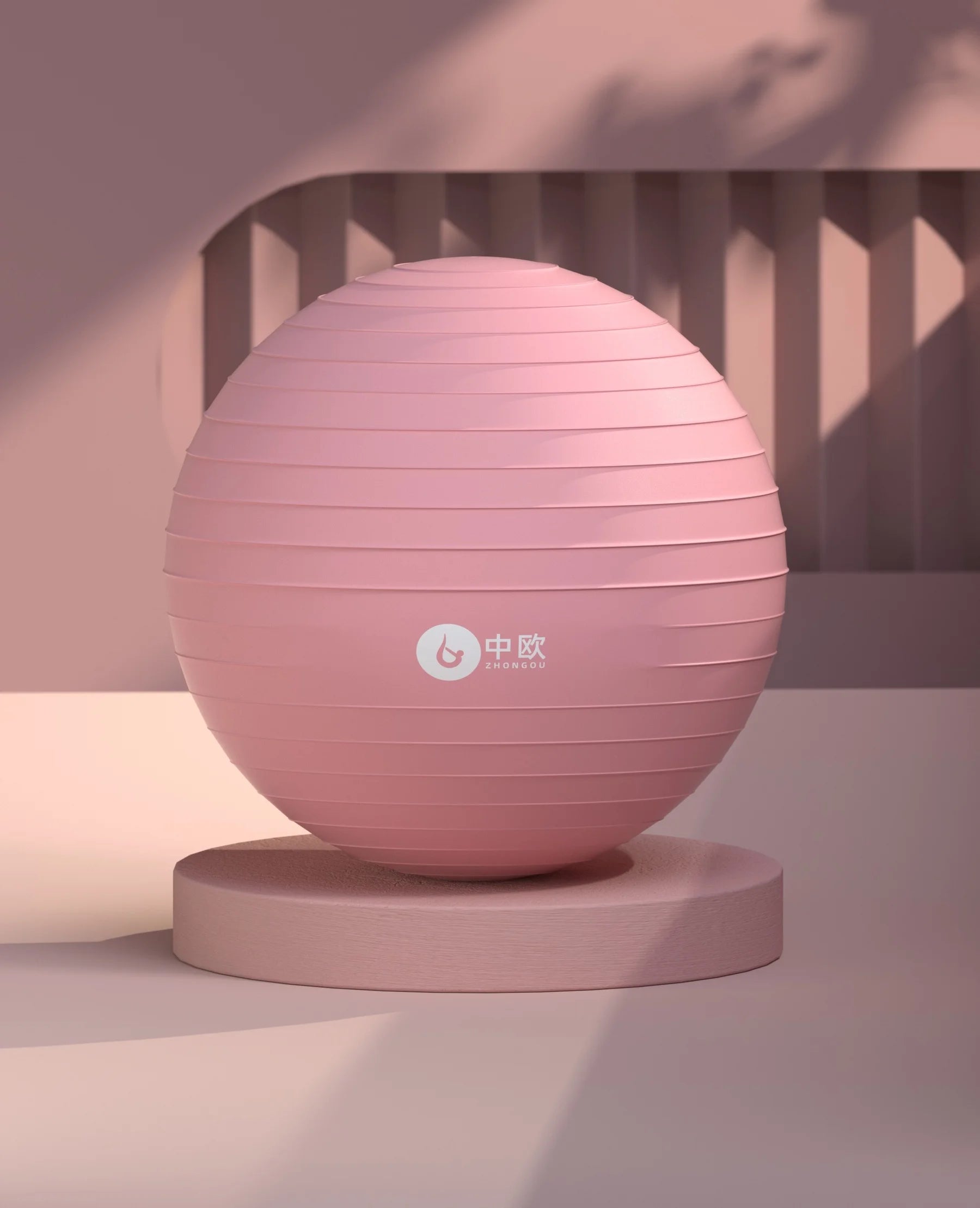 Bola de pilates e yoga.